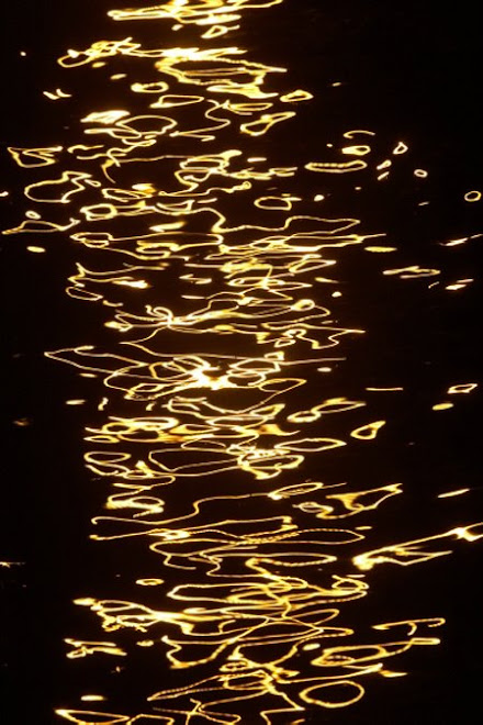 Tous les travaux, les modernisations, les changements, tous les espoirs en ce 20eme siecle,