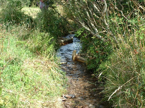 Beaucoup de travail manuel, plusieurs centaines de tonnes de cailloux, 4 ans plus tard