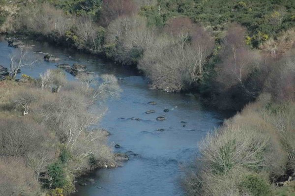 Lower Caragh Fishery, un paradis de peche s'ouvre a vous