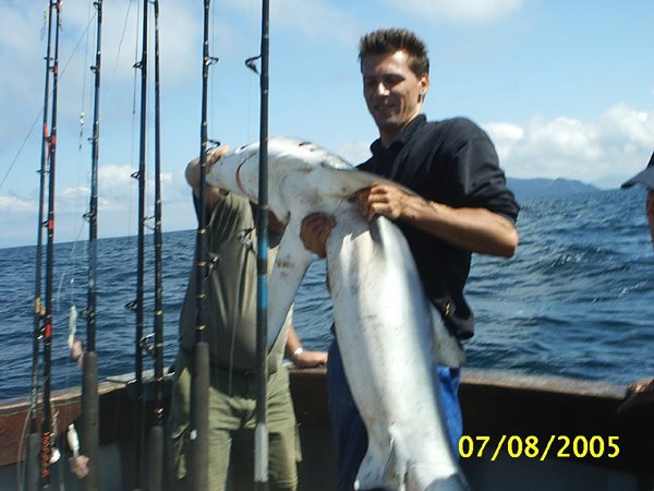 Un tres beau requin bleu pour ce client