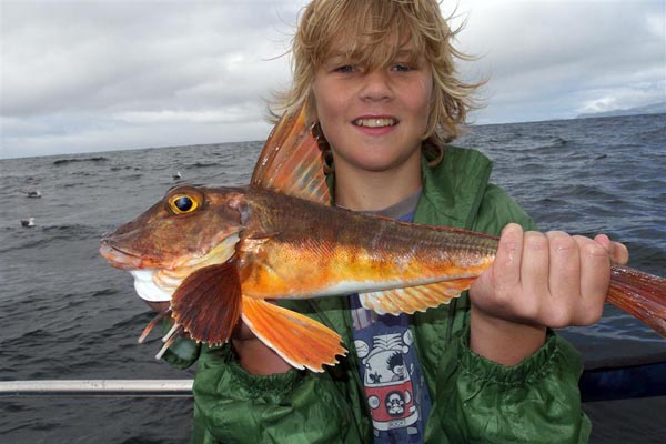 Ein Juniorangler mit einem fantastischen Roten Knurrhahn. Hochseeangeln vom allerfeinsten