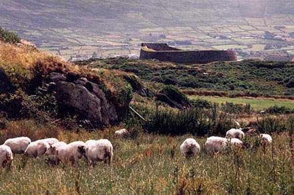 Der "Ringfort" aus Cahersiveen, aus keltischer Zeit