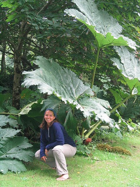 Dieser exotische Botanik Garten um Derrynane House