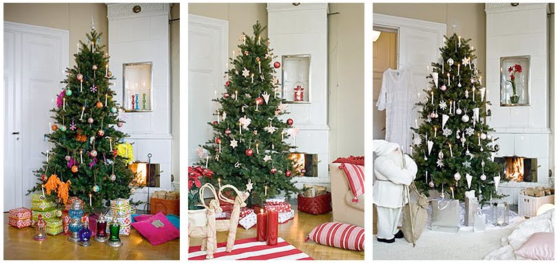[ChristmasTrees.jpg]
