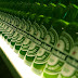 Beer - Heineken HD  Backgrounds, Wallpapers