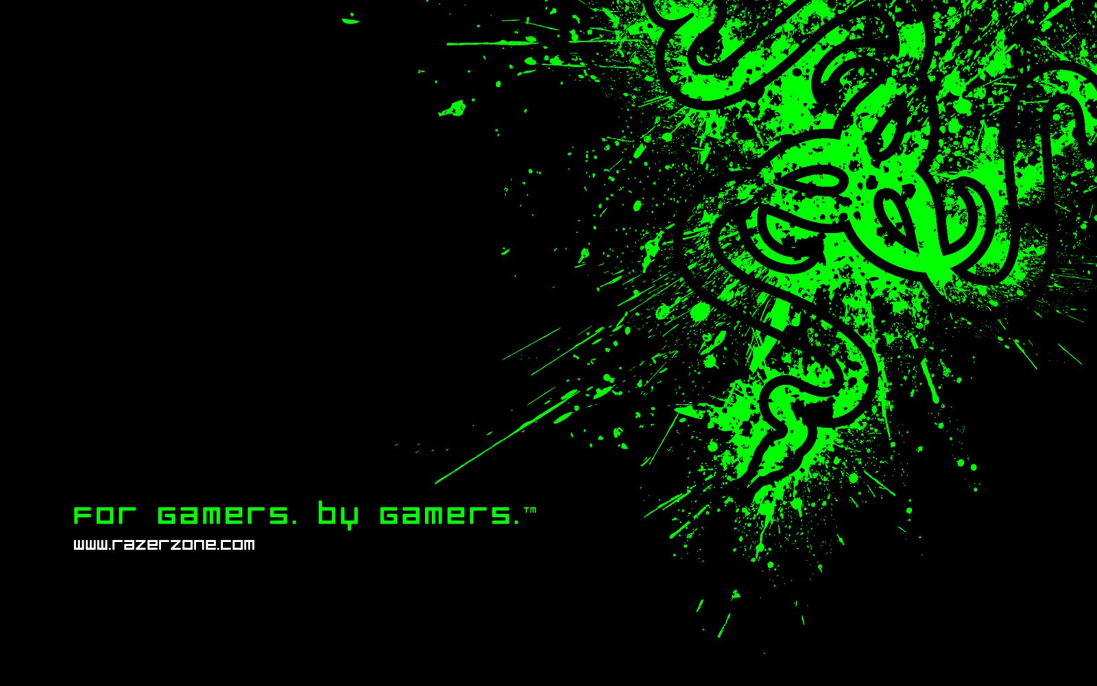 http://1.bp.blogspot.com/_2UbsSBz9ckE/SvXxN-r2LPI/AAAAAAAAAXg/LtVeg_NNLGc/s1600/Razer_green_logo_hd_wallpaper_1920x1200.jpg