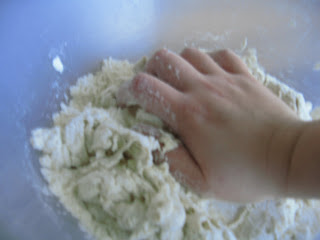 Homemade Pizza Dough by Ng @ What's Dinner?