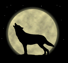 Nocturnal Wolf