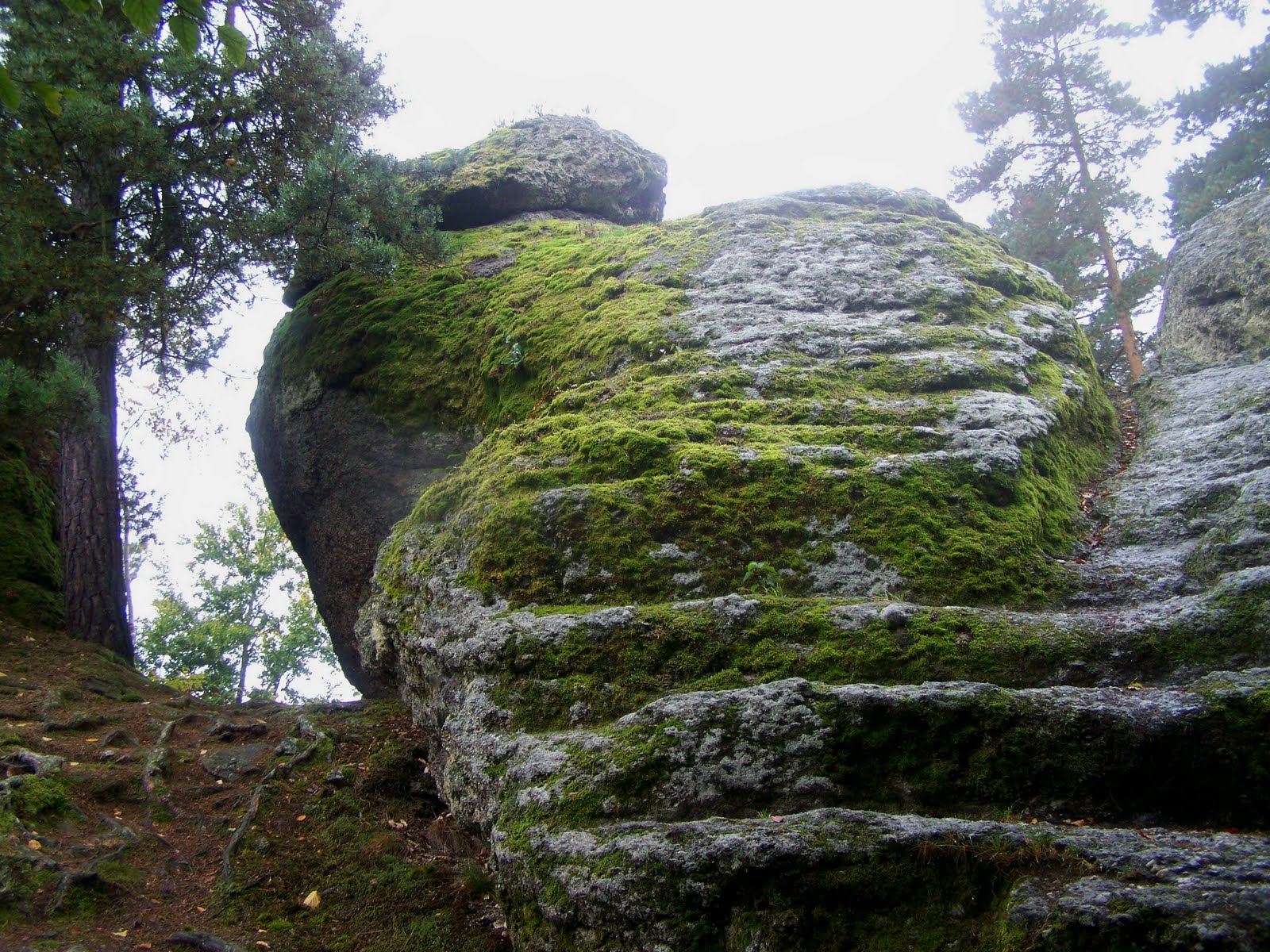 LEBENSTAGE/WALDVIERTELTAGE HEIDENSTEIN