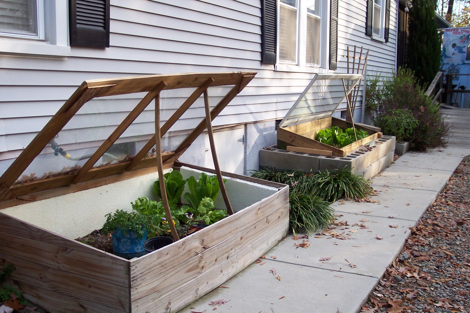 ANZ's Farms Cold Frames