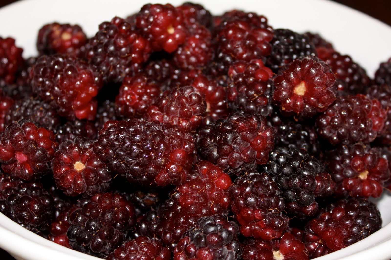 Hungry For More Rustic Boysenberry Tart