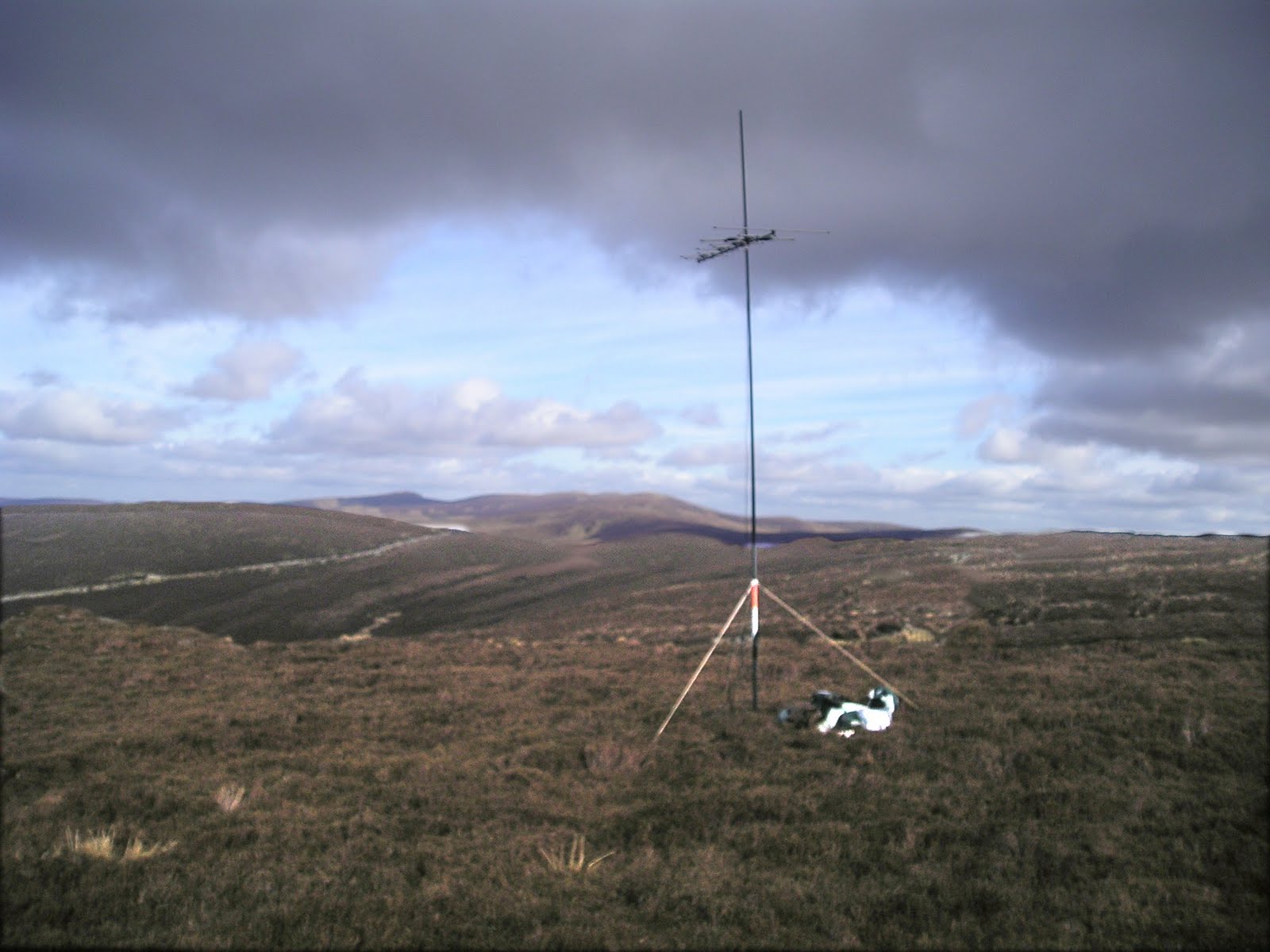 National Field Day was meant to involve operating a portable amateur radio ... Watch her puffy nipples swell as she plays with her tits.
