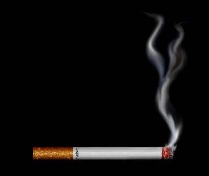 [cigarette.jpg]