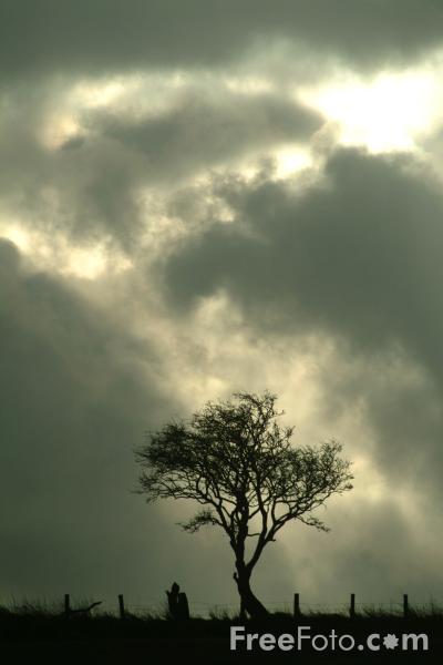 [cloud.jpg]