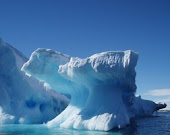Cool Antarctica Website