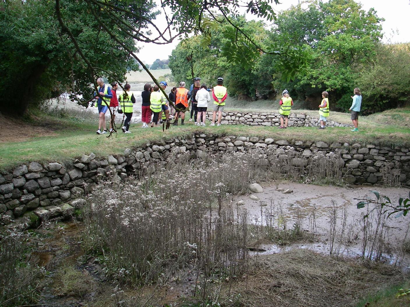 [IMGP5317_1408.JPG]
