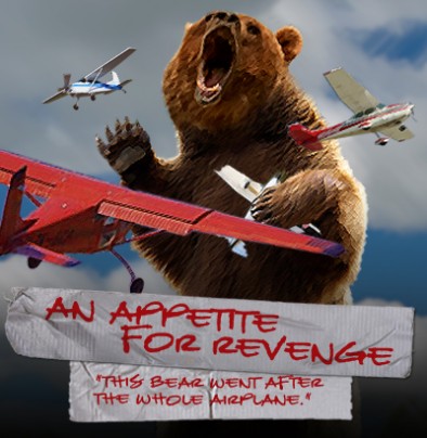 bear-kong-vs-plane-12-20-09.jpg