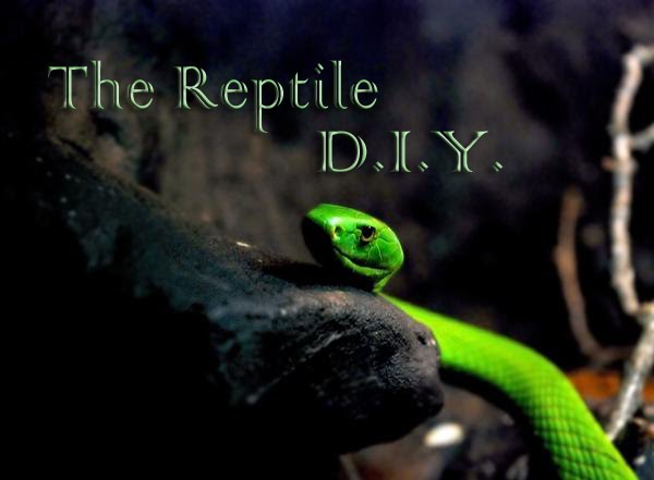 The Reptile DIY