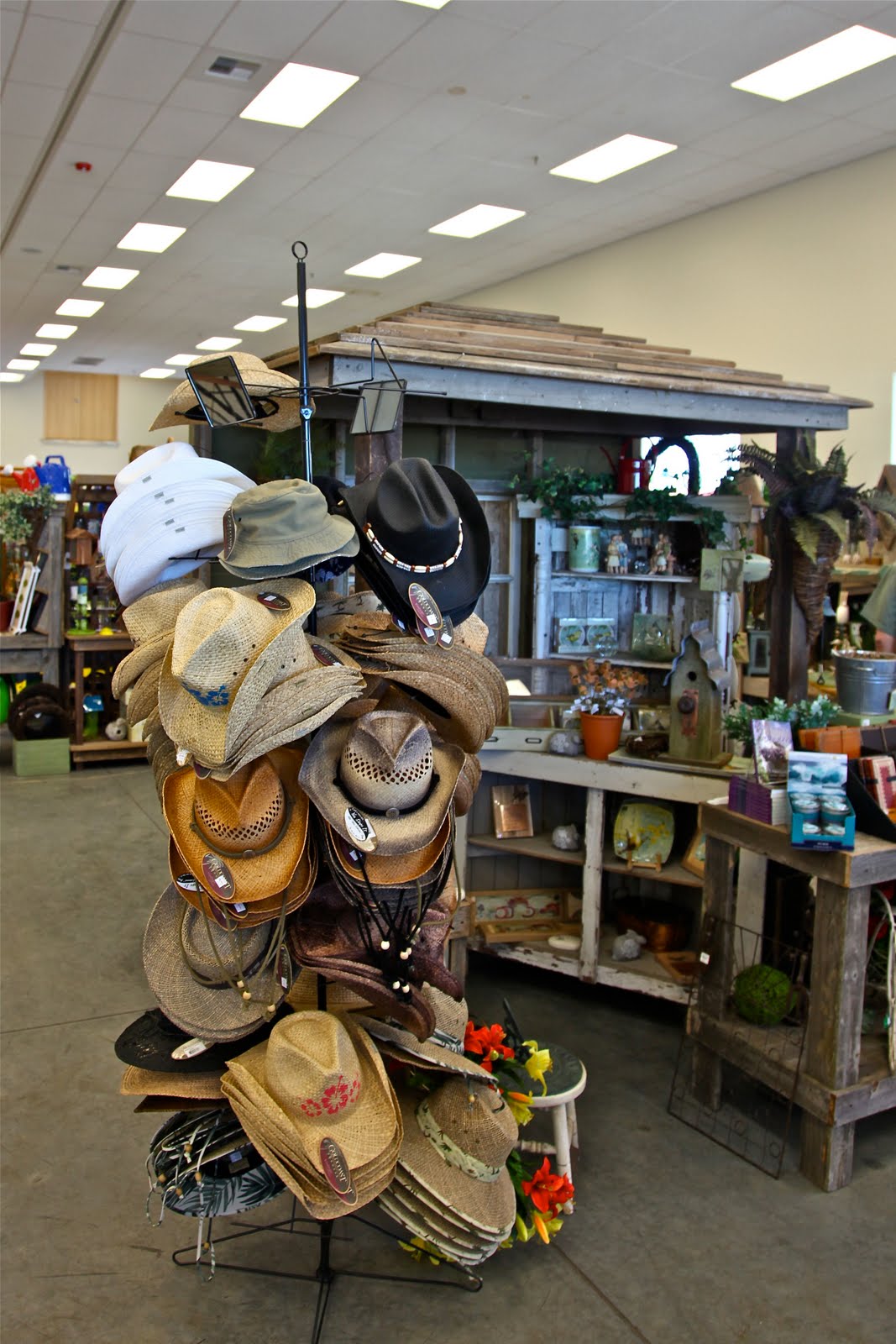 Shoreline Area News Sky Nursery Customer Appreciation Day