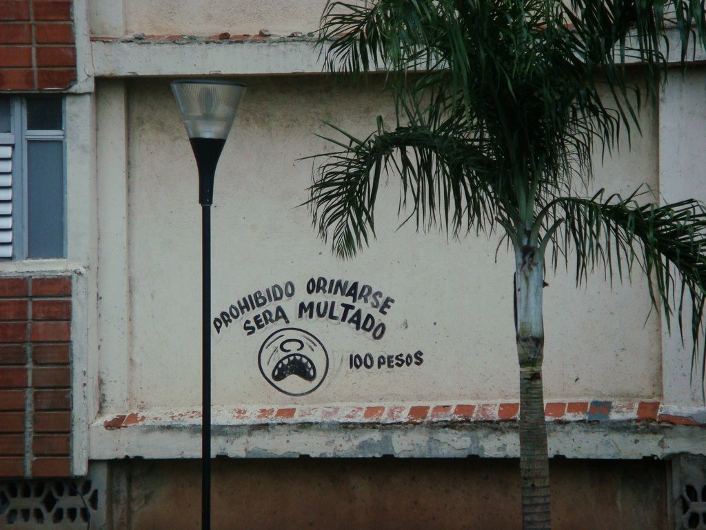 [ProhibidoOrinarse.jpg]