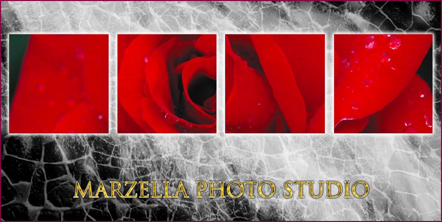 Le mie foto
