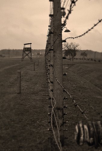 [workwillmakeyoufree]
