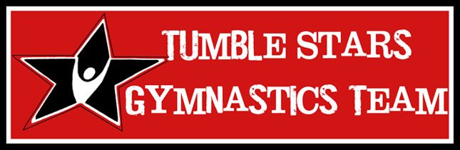 TS Gymnastics Team