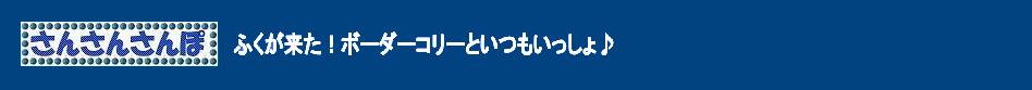 ふくが来た！ボーダーコリーといつもいっしょ