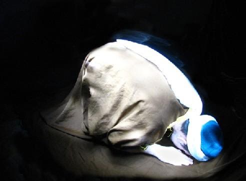 Featured image of post Sajdah Wallpaper