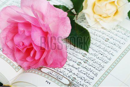 Holy Quran With Pink Rose