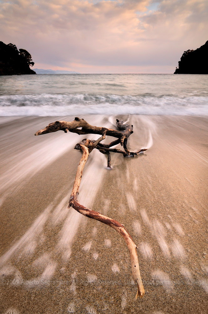Photo of the Month  "Castaway"