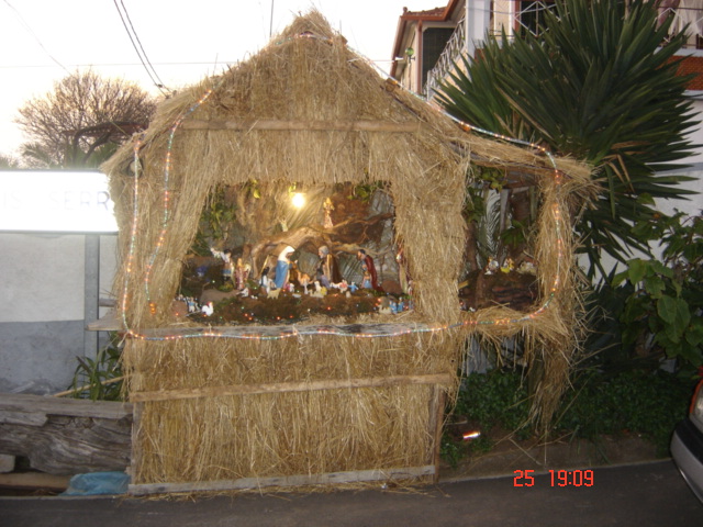 [DSC07360.JPG]