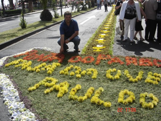 [DSC09261.JPG]