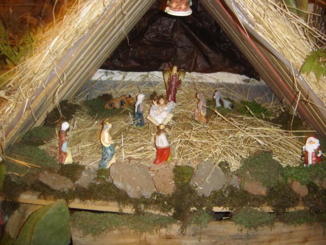 [DSC01466.JPG]