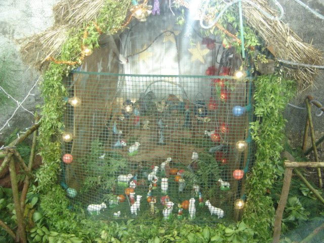 [DSC01480.JPG]