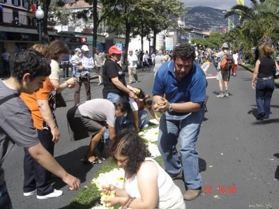 [DSC09252.JPG]