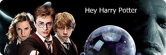 Hey Harry Potter !