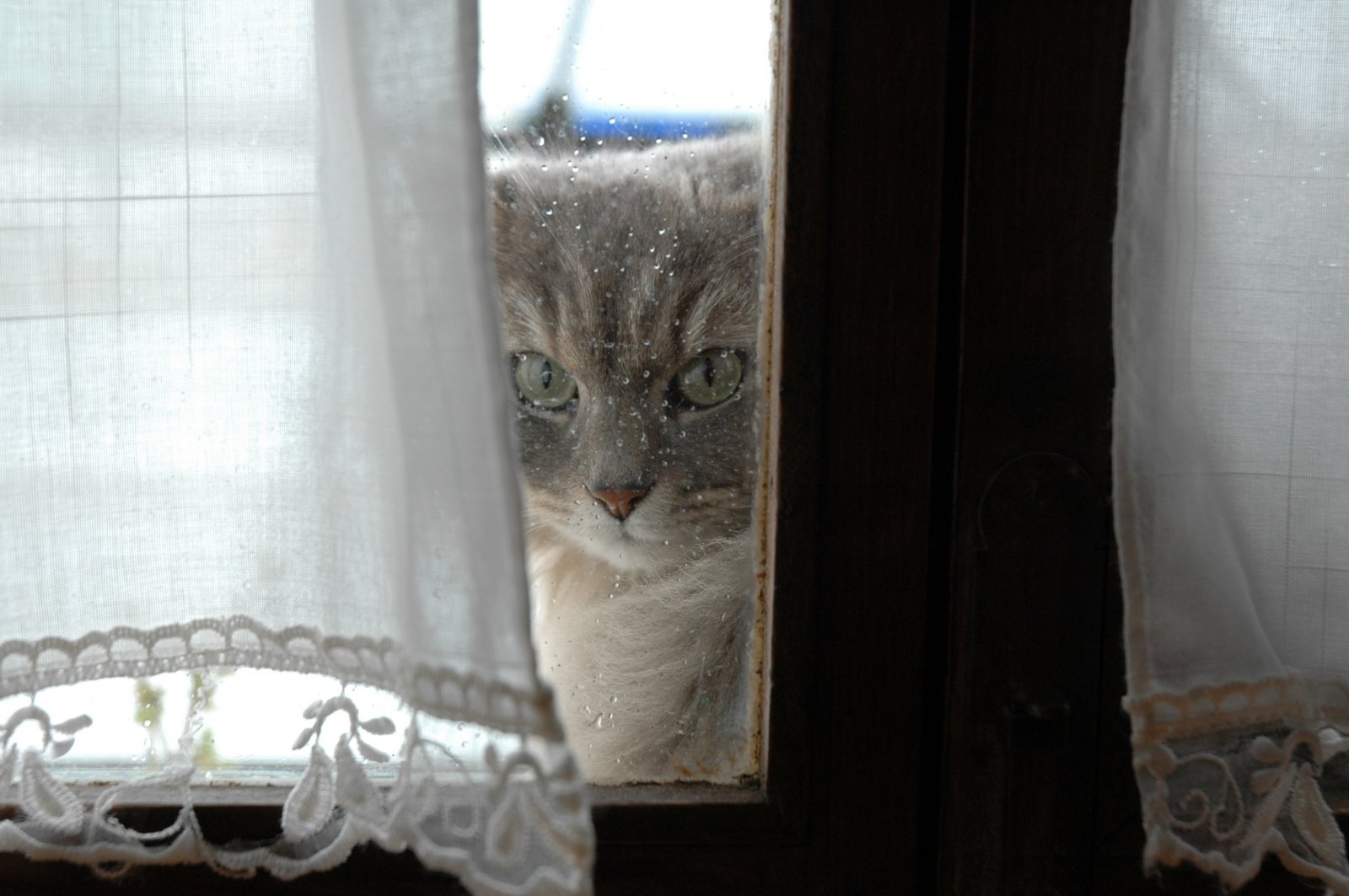 [DSC_0213.JPG]