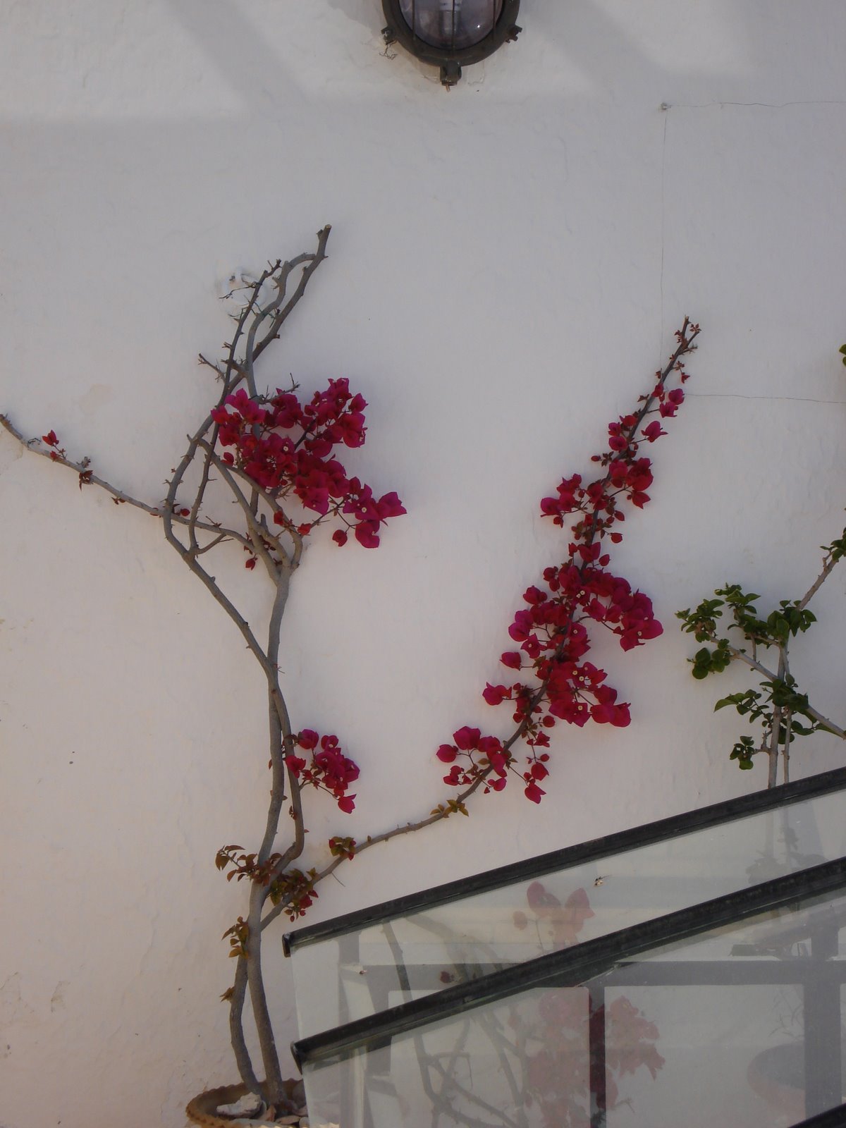 [DSC04714.JPG]