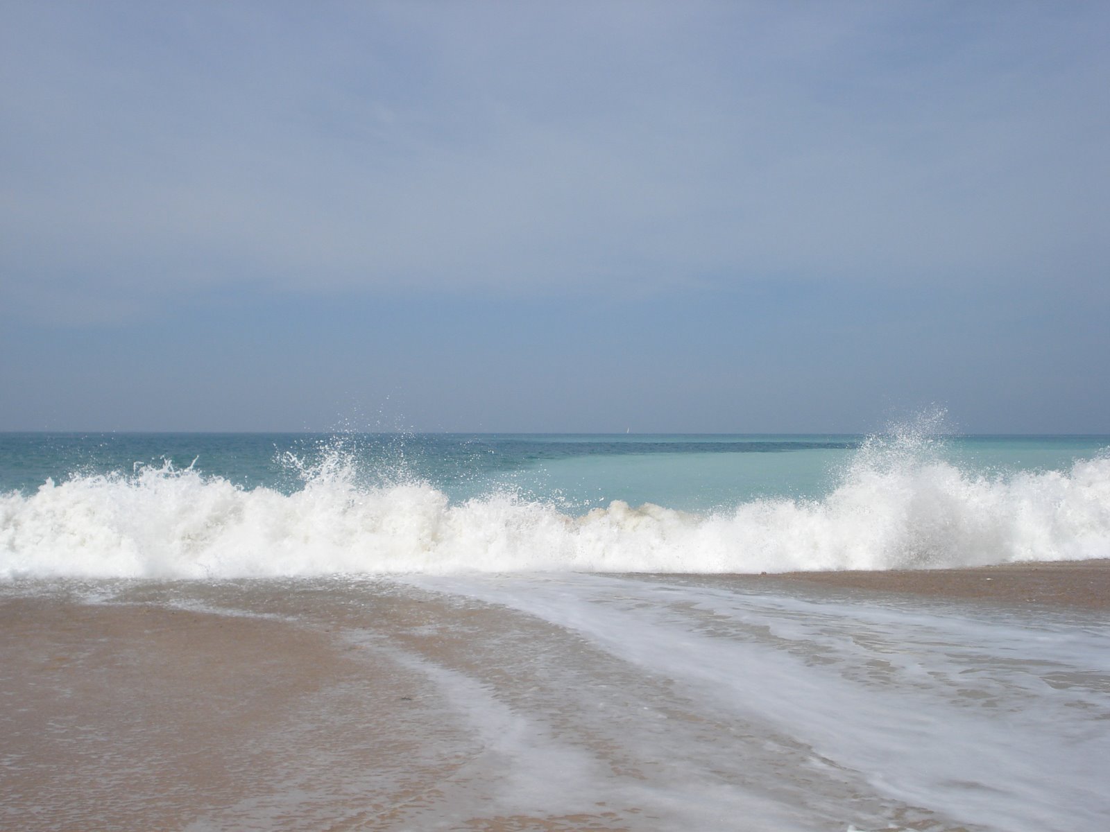 [DSC04373.JPG]