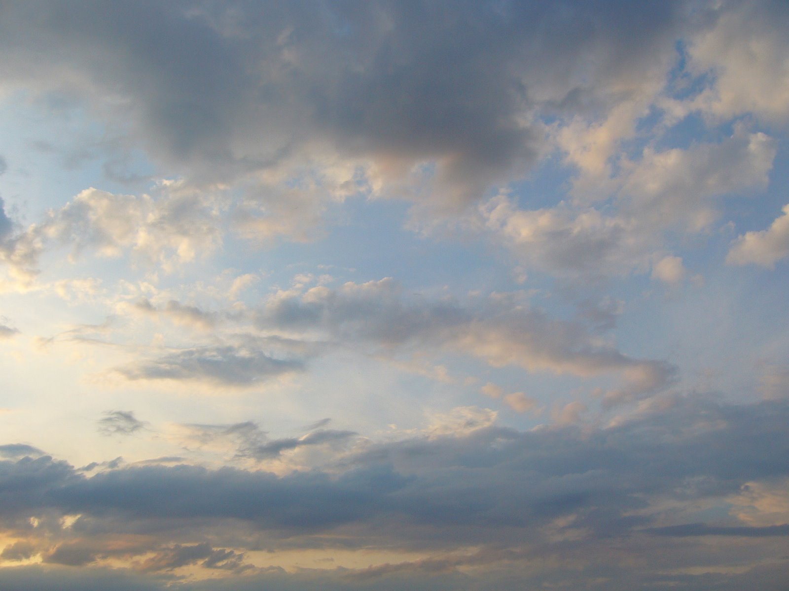 [P1100425.JPG]