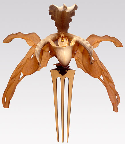 [orquideas.jpg]