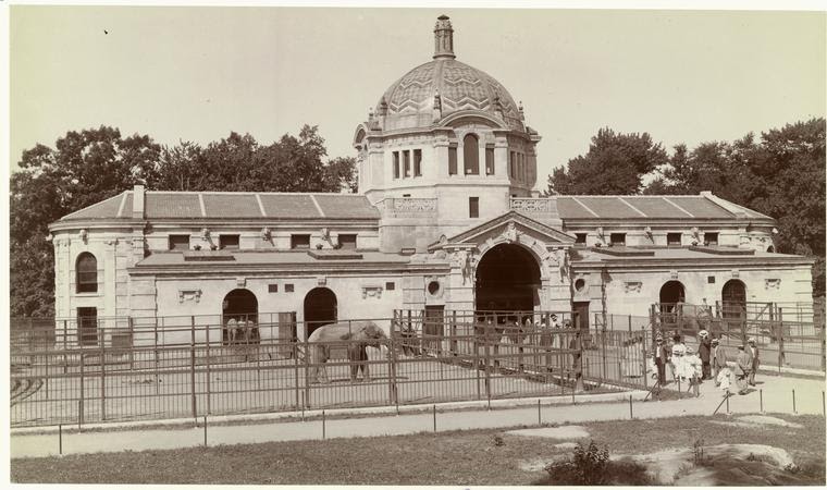 The Circus "NO SPIN ZONE": Vintage Bronx Zoo 1911