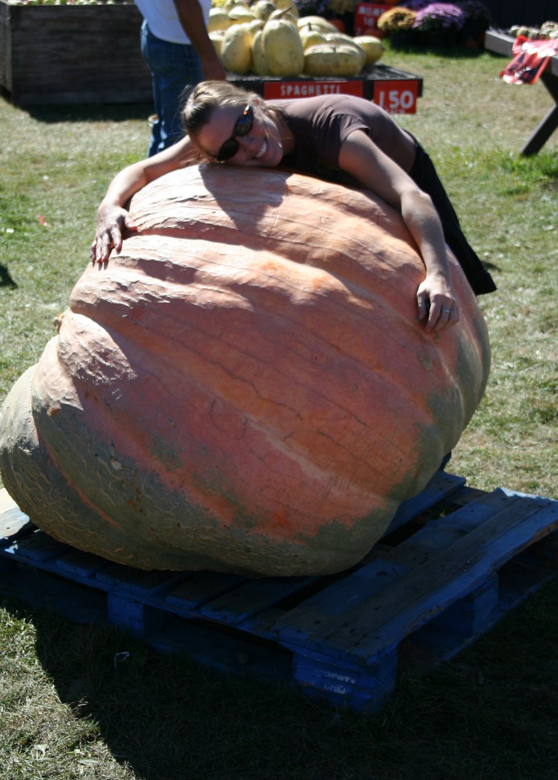 [pumpkinville+2008+062.JPG]