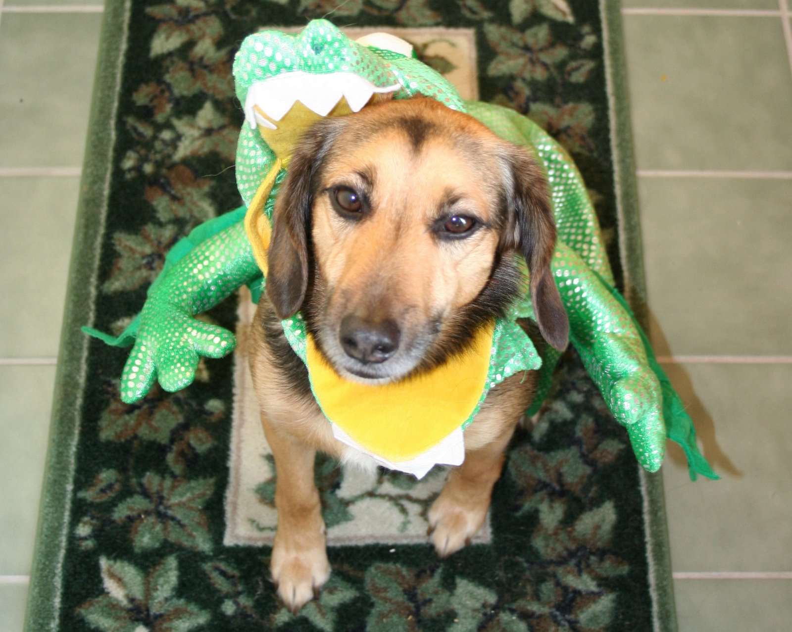 [milo+dragon+029.JPG]