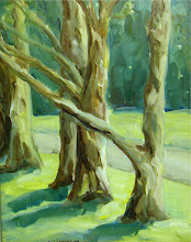 "Cedars in Woodward Park"  Original oil on masonite 8x10