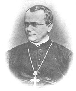 Gregor Mendel, Tokoh Biologi, Ilmuwan Biologi