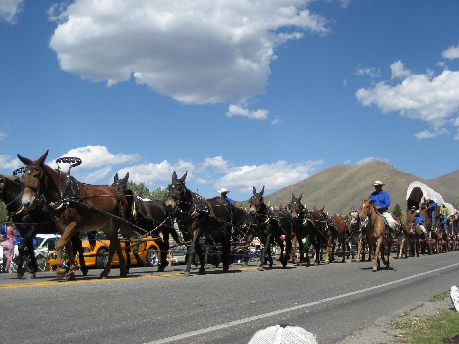 Rodeo Tales & Gypsy Trails Jerkline
