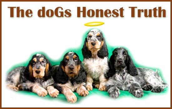 The doGs Honest Truth