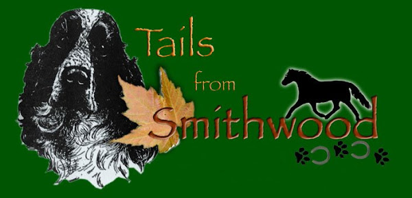 Tails From Smithwood by Kerrin Winter-Churchill